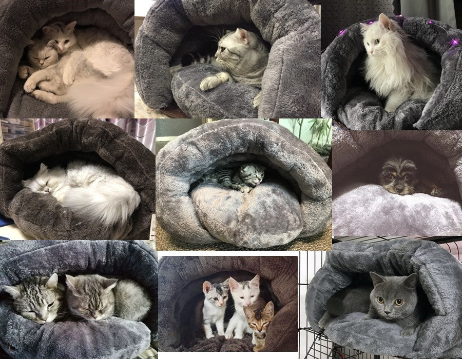 HOOPET New Arrival Warm Cat Sleeping Bags Pet Beds Half Cover Winter Nest Kitty House Cats Bed Brown 2 Size #K